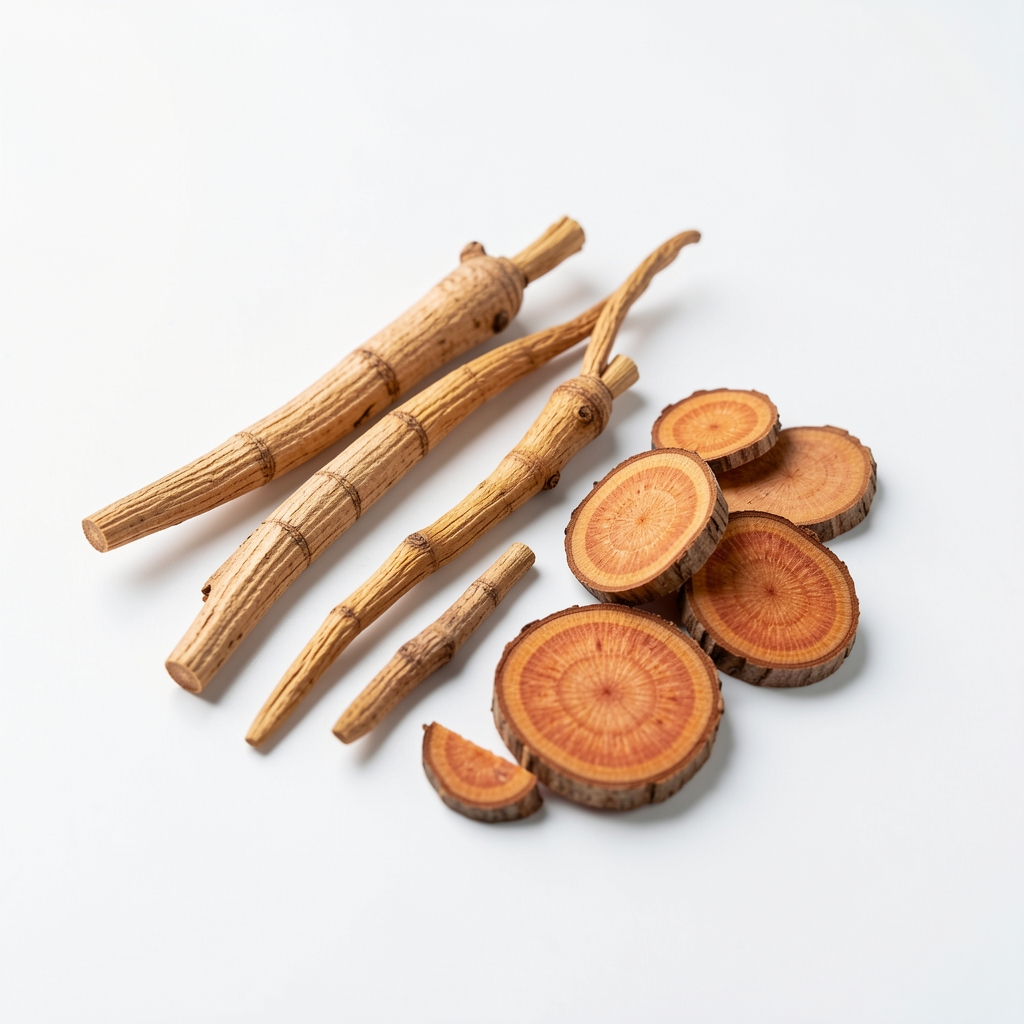 Dried ginseng root segments and rhodiola root cross-sections arranged on a clean white surface under bright controlled lighting for botanical identification